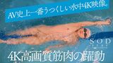 Momo Aoki, who is said to be a synchro international tournament strengthening player and a competitive swimming Japanese championship player, makes her AV debut